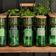 HydroHerbs_WfFourStore-1024sq-Basil1