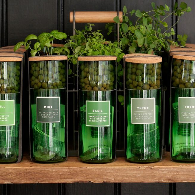 HydroHerbs_WfFourStore-1024sq-Basil1