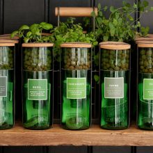 HydroHerbs_WfFourStore-1024sq-Coriander1