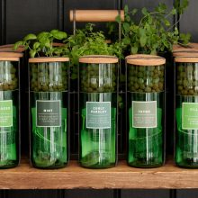 HydroHerbs_WfFourStore-1024sq-CurlyParsley1