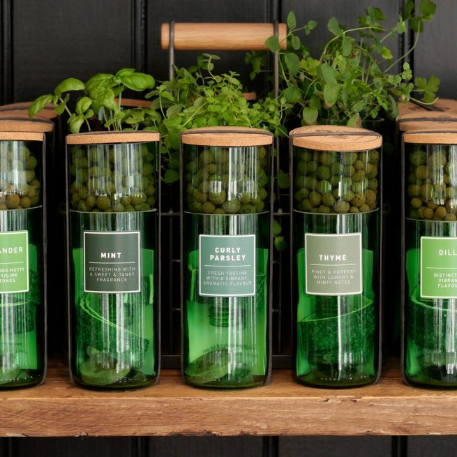 HydroHerbs_WfFourStore-1024sq-CurlyParsley1