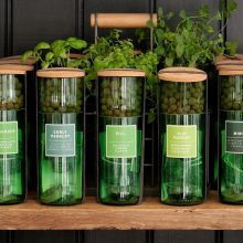 HydroHerbs_WfFourStore-1024sq-Dill1