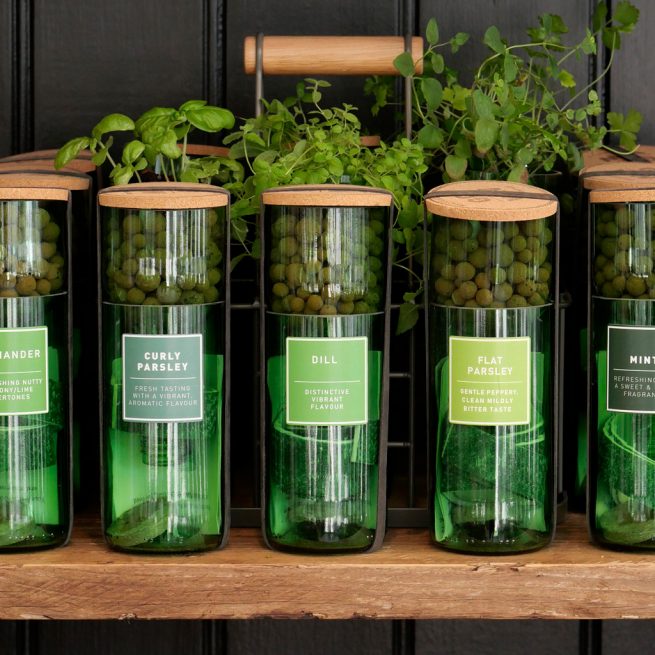 HydroHerbs_WfFourStore-1024sq-Dill1