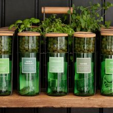 HydroHerbs_WfFourStore-1024sq-Oregano1