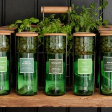 HydroHerbs_WfFourStore-1024sq-Tarragon1