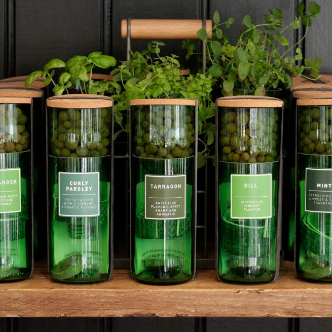 HydroHerbs_WfFourStore-1024sq-Tarragon1