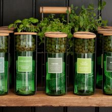 HydroHerbs_WfFourStore-1024sq-Thyme1