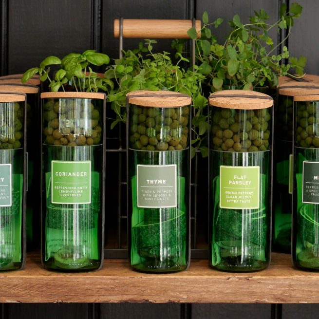 HydroHerbs_WfFourStore-1024sq-Thyme1