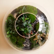 FourStore_NIWA_Wf1024sq-Earth-1