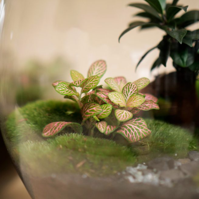 FourStore_NIWA_Wf1024sq-Earth-4