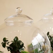 FourStore_NIWA_Wf1024sq-Earth-6