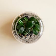 FourStore_NIWA_Wf1024sq-SmallWorld1L-1