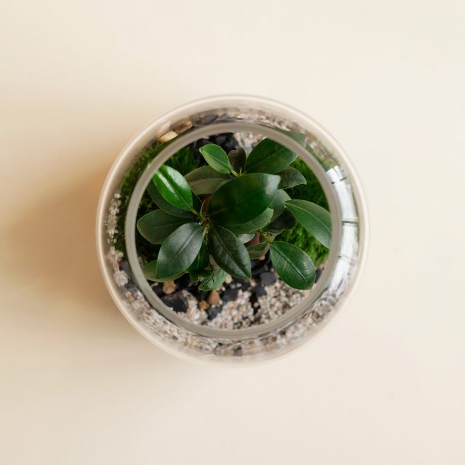 FourStore_NIWA_Wf1024sq-SmallWorld1L-1