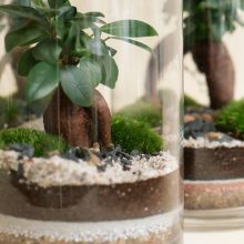 FourStore_NIWA_Wf1024sq-SmallWorld1L-2