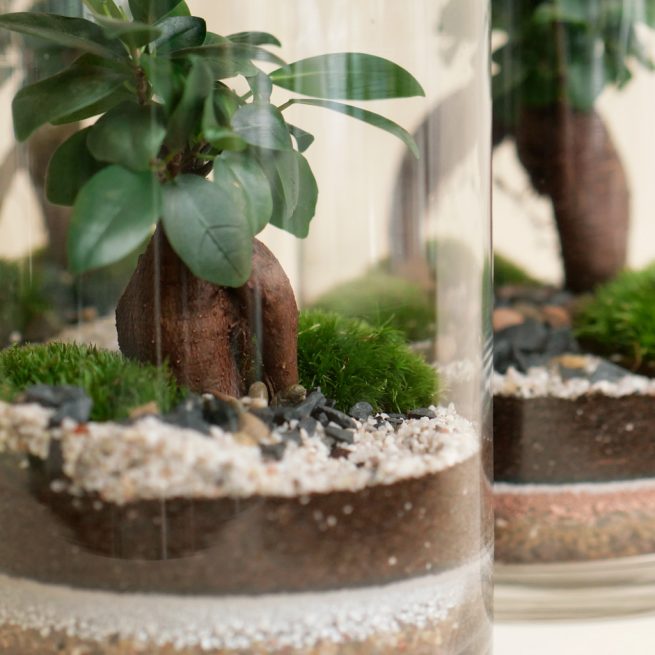 FourStore_NIWA_Wf1024sq-SmallWorld1L-2