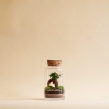 FourStore_NIWA_Wf1024sq-SmallWorld1L