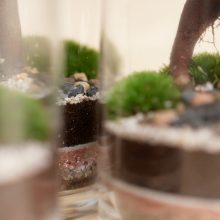 FourStore_NIWA_Wf1024sq-SmallWorld1L-4