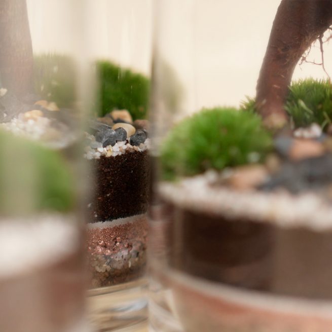 FourStore_NIWA_Wf1024sq-SmallWorld1L-4