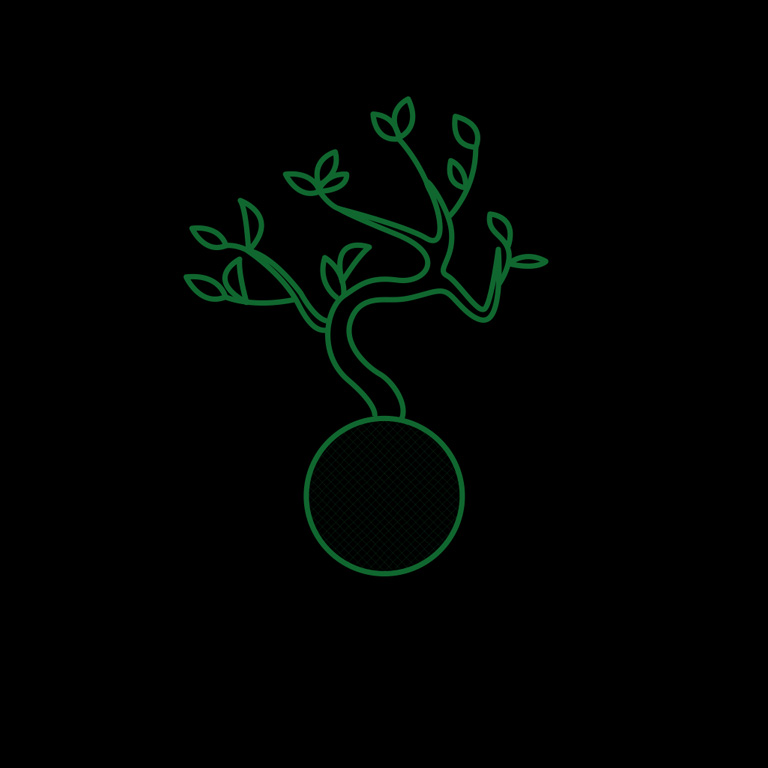 768sq-kokedama-water-1