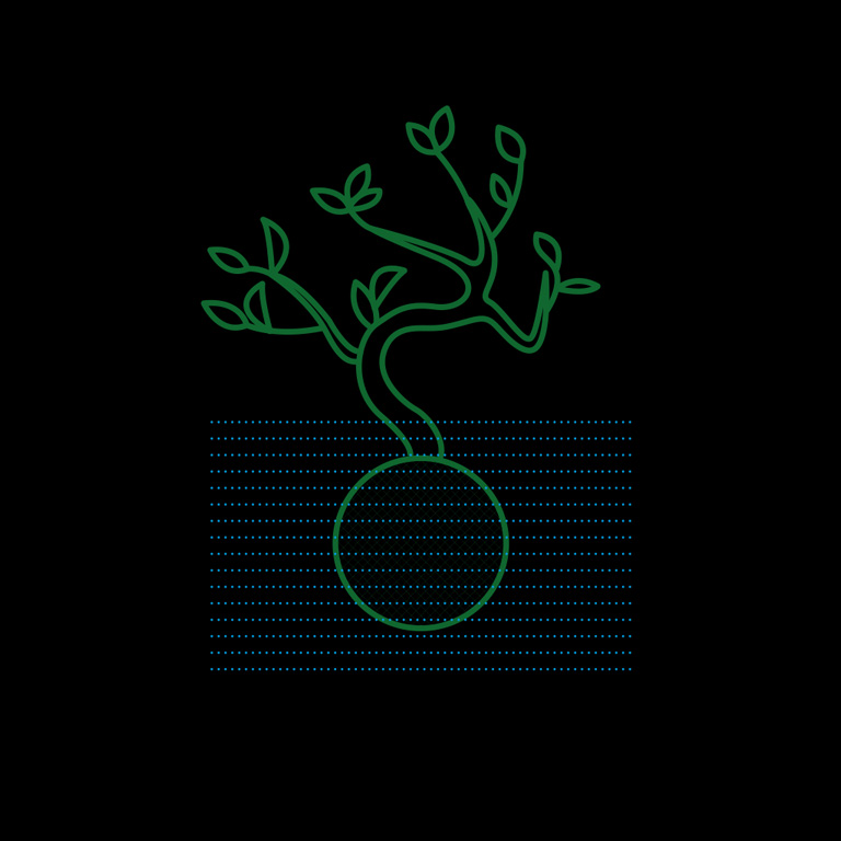 768sq-kokedama-water-2