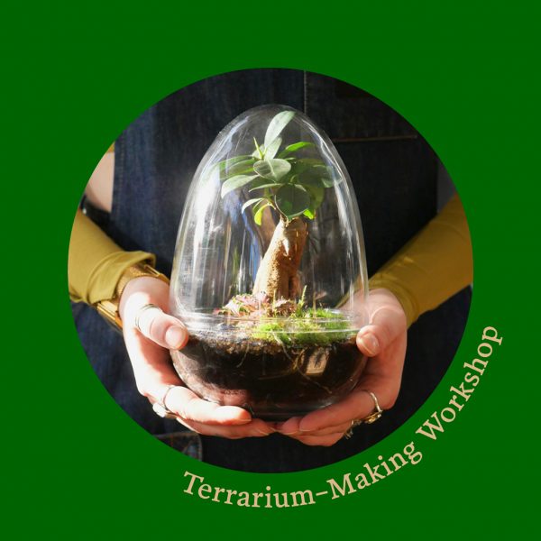 Workshop Terrarium con Ginseng – Wild