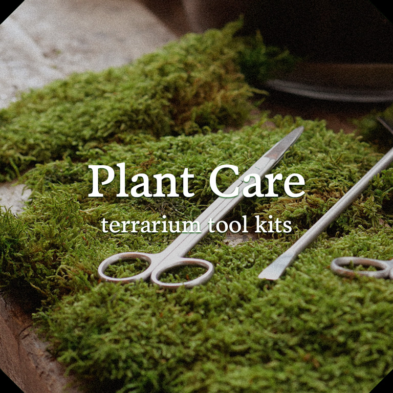 Plants care terrarium tool kits