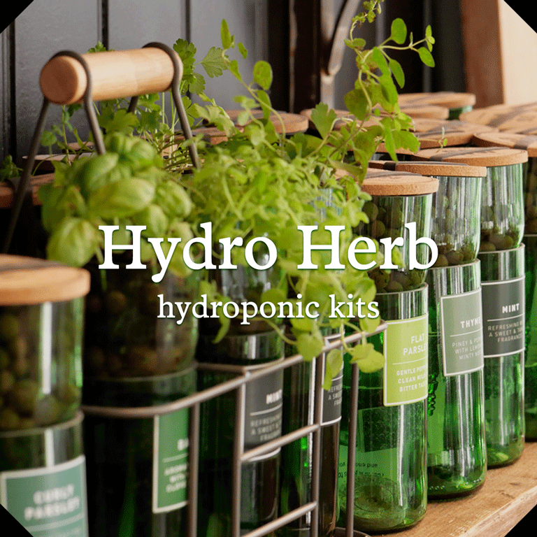 100% eco-friendly hydroponic grow-your-own herb kits