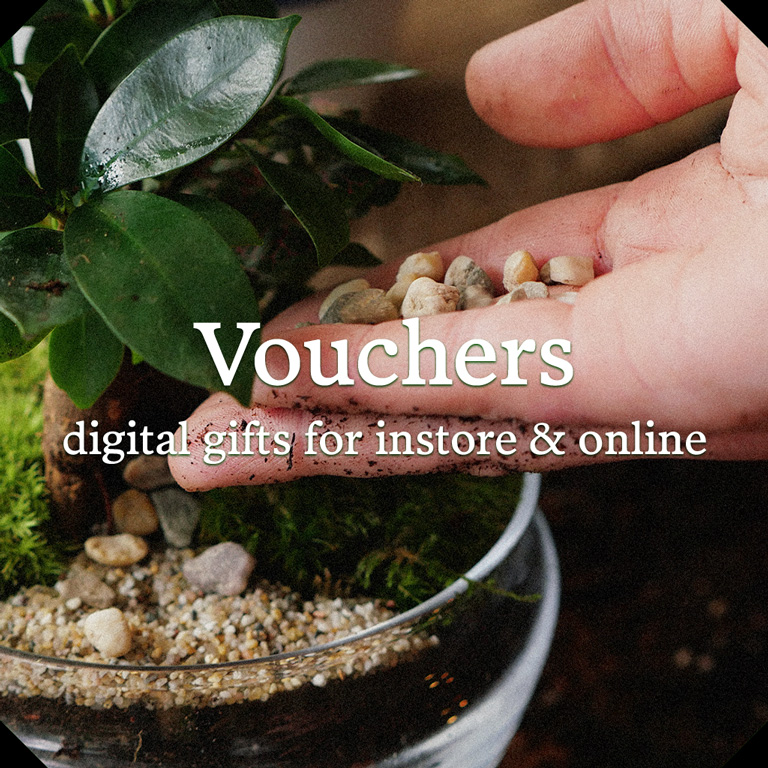 Digital gift vouchers for instore & online