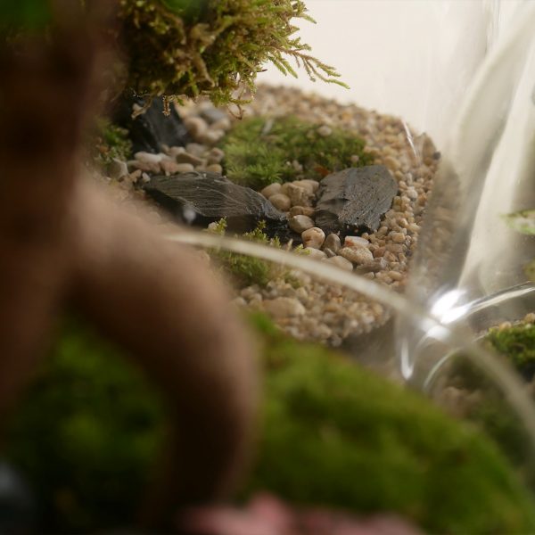 IV_details_Wf1080sq-11