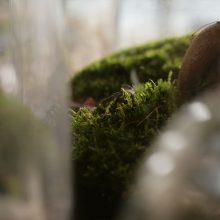 IV_details_Wf1080sq-2