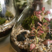 IV_details_Wf1080sq-24