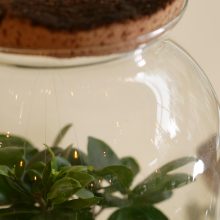 IV_details_Wf1080sq-32