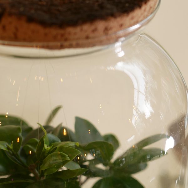 IV_details_Wf1080sq-32