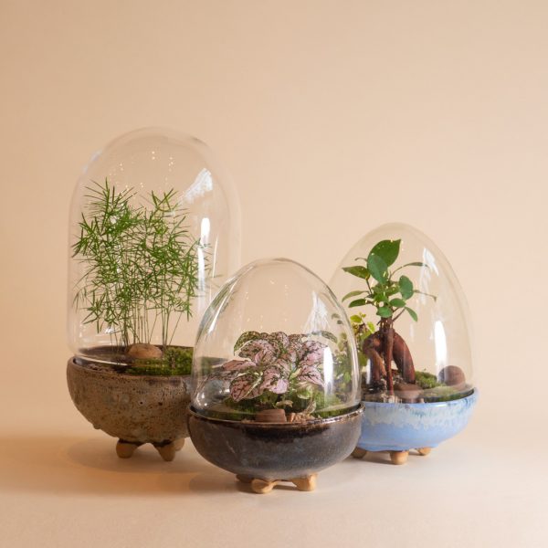 IV_family_Wf1080sq-ceramic