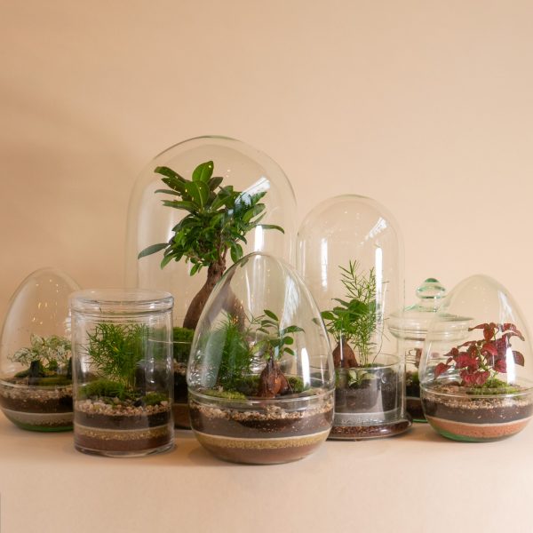 IV_family_Wf1080sq-glass