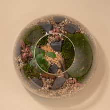 IV_keysets_Wf1080sq-Forest-2