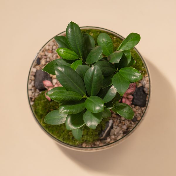 IV_keysets_Wf1080sq-HeroL-2