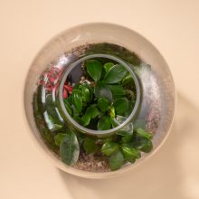 IV_keysets_Wf1080sq-Jungle-2