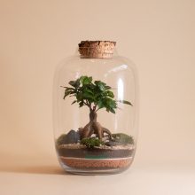 Jungle L