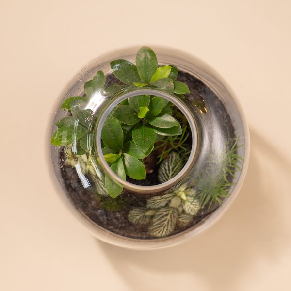 IV_keysets_Wf1080sq-JungleS-2