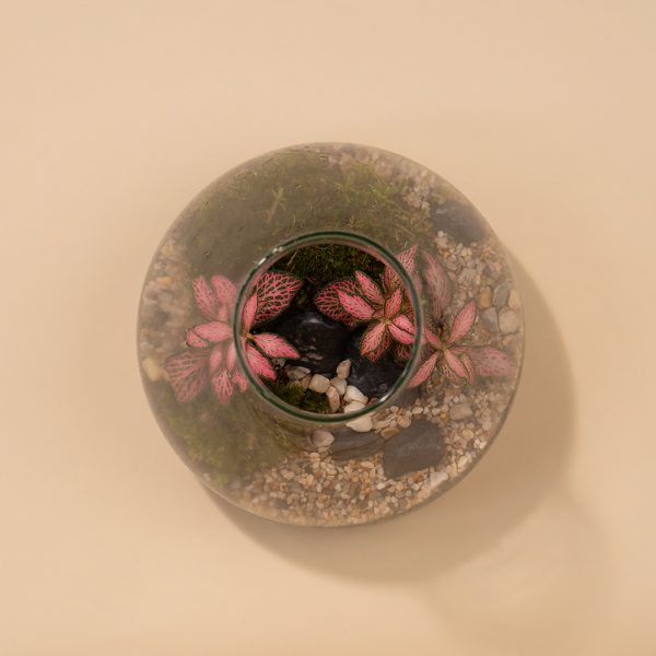 IV_keysets_Wf1080sq-Legend-2