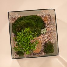 IV_keysets_Wf1080sq-Luxe-2