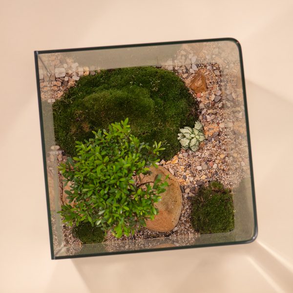 IV_keysets_Wf1080sq-Luxe-2