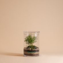 Mini Cylinder