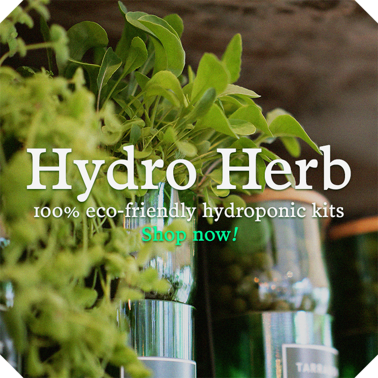 Shop Hydro Herb kits at Four Store