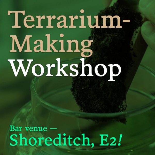 Terrarium-Making Workshop, Shoreditch E2