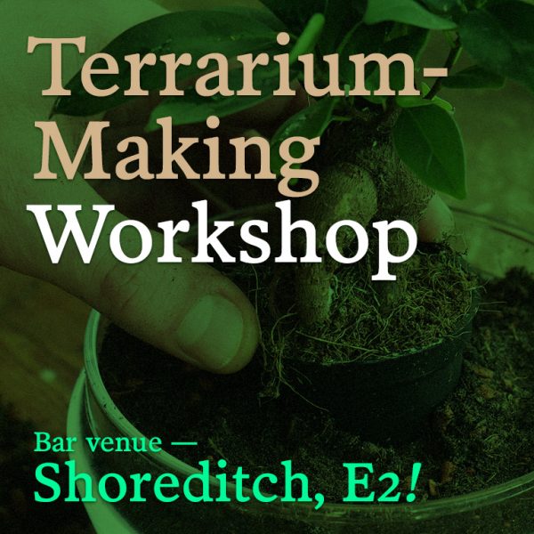 Terrarium-Making Workshop, Shoreditch E2